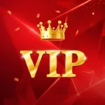 vip 1 bet